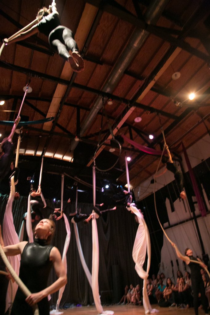 Canopy True Colors 2016