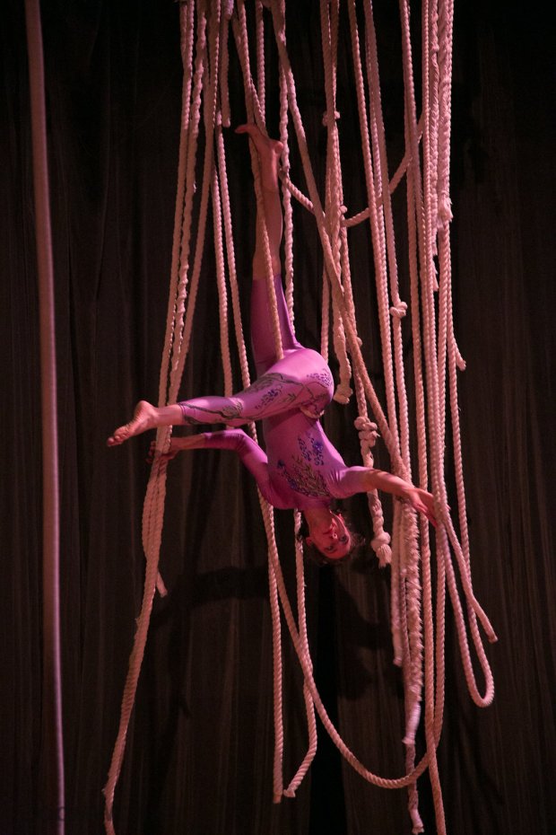 Canopy True Colors 2016