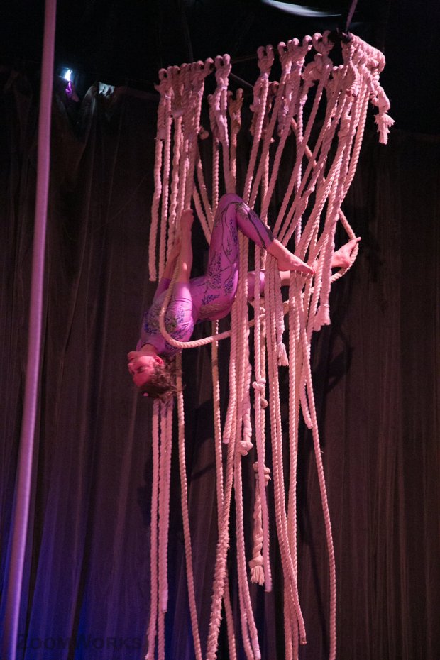 Canopy True Colors 2016