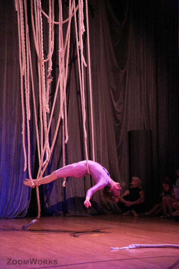 Canopy True Colors 2016